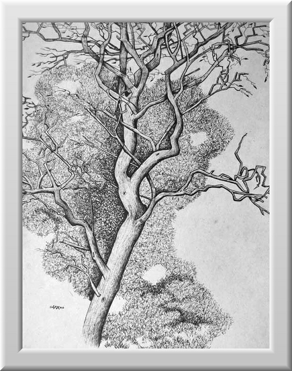 Хохрин Илья. Мёртвое дерево