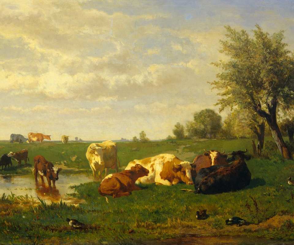 Коровы на Лугу